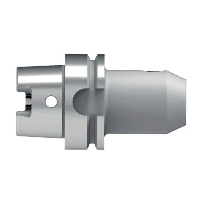 Bilz 20mm 100mm Gauge Length Weldon Side Lock Holder - HSK A63