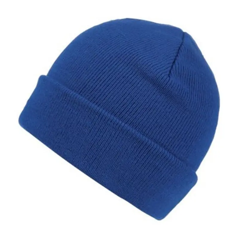 Regatta Axton Beanie - Royal Blue