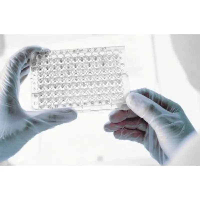 Polyco Size L - GN65 Vinyl Powder Free Gloves - Clear -Box 100